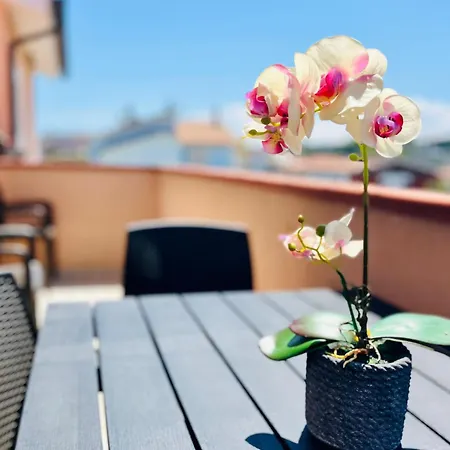 アパート Conero Casa - Di Numana In Via Litoranea 101 Sul Mare Vista Con Parcheggio Esclusivo マルチェッリ